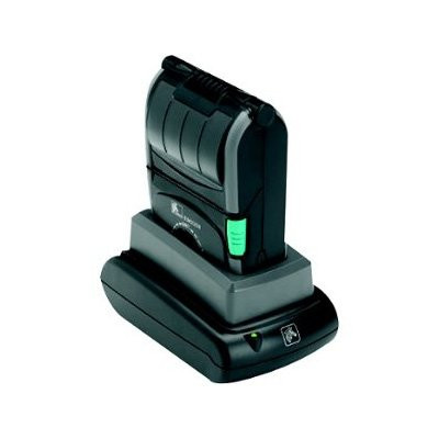 Zebra βάση (P1060270)